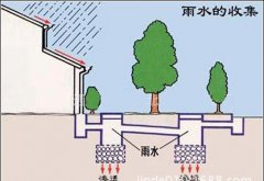 初期雨水收集為什么這么重要？